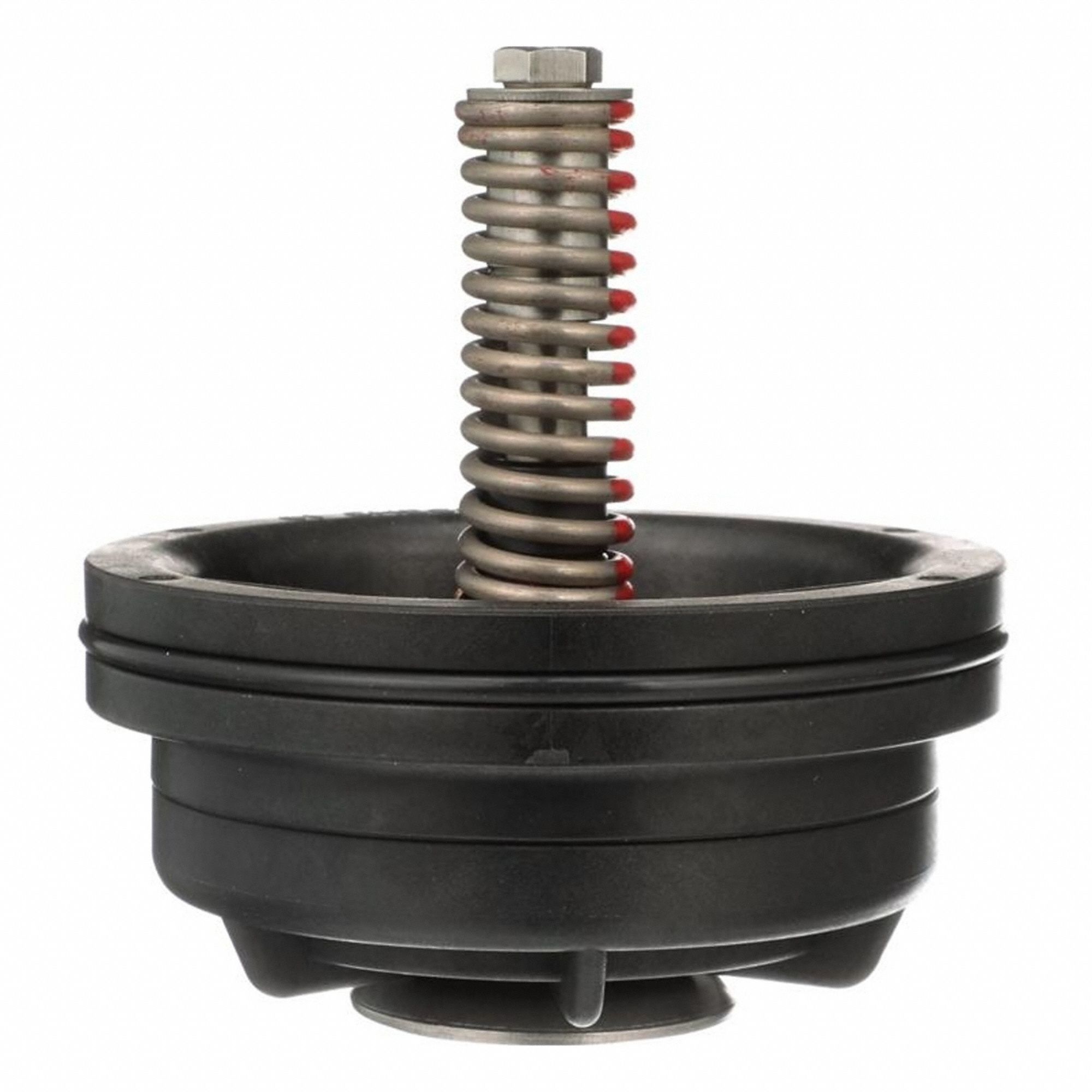 Repair Kit Check Assembly