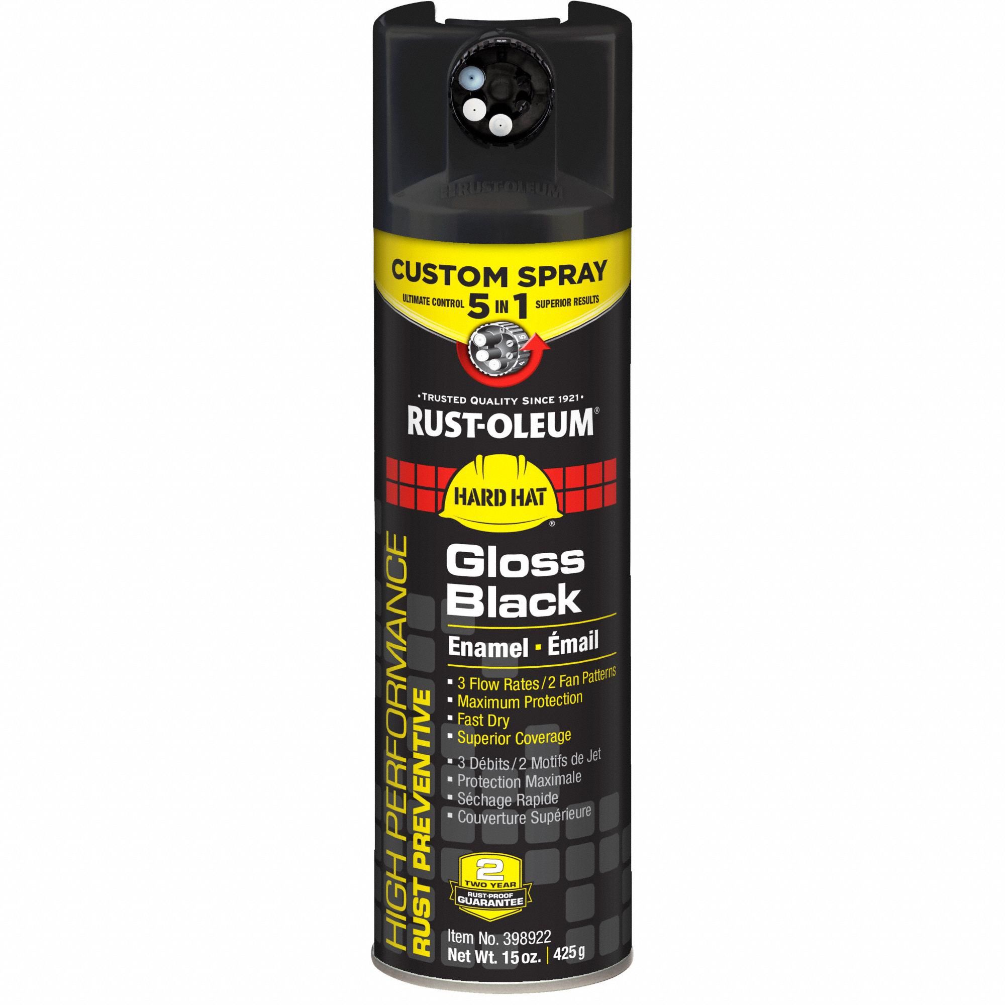 Spray Paint Exterior 15 oz Black