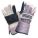 Primary Product Image
