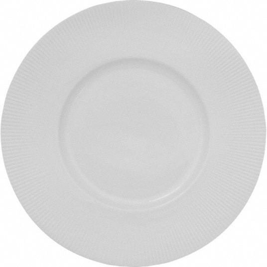 ITI, Sunburst, Bright White, Wide Rim Plate - 806PY7|SB-166 - Grainger