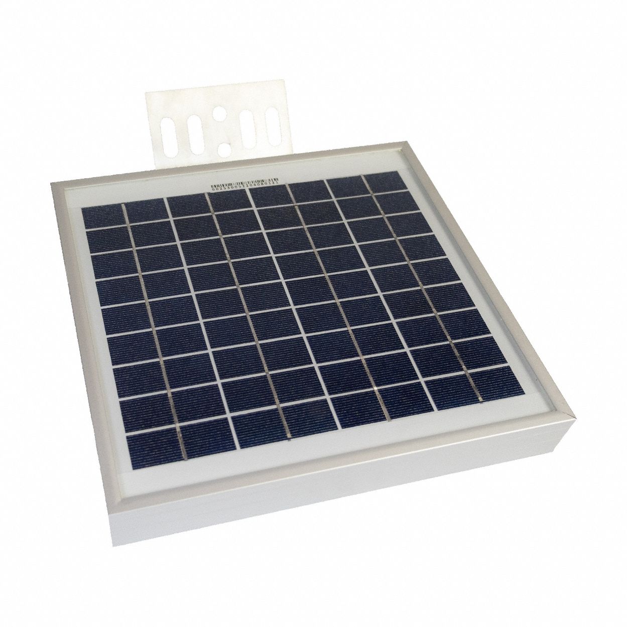 Insect & Wildlife Control