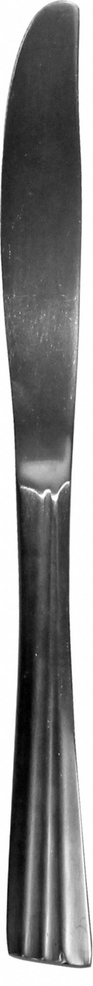 Dinner Knife: Tarpon, 18/8, Stainless Steel, 9 in Overall Lg, Silver