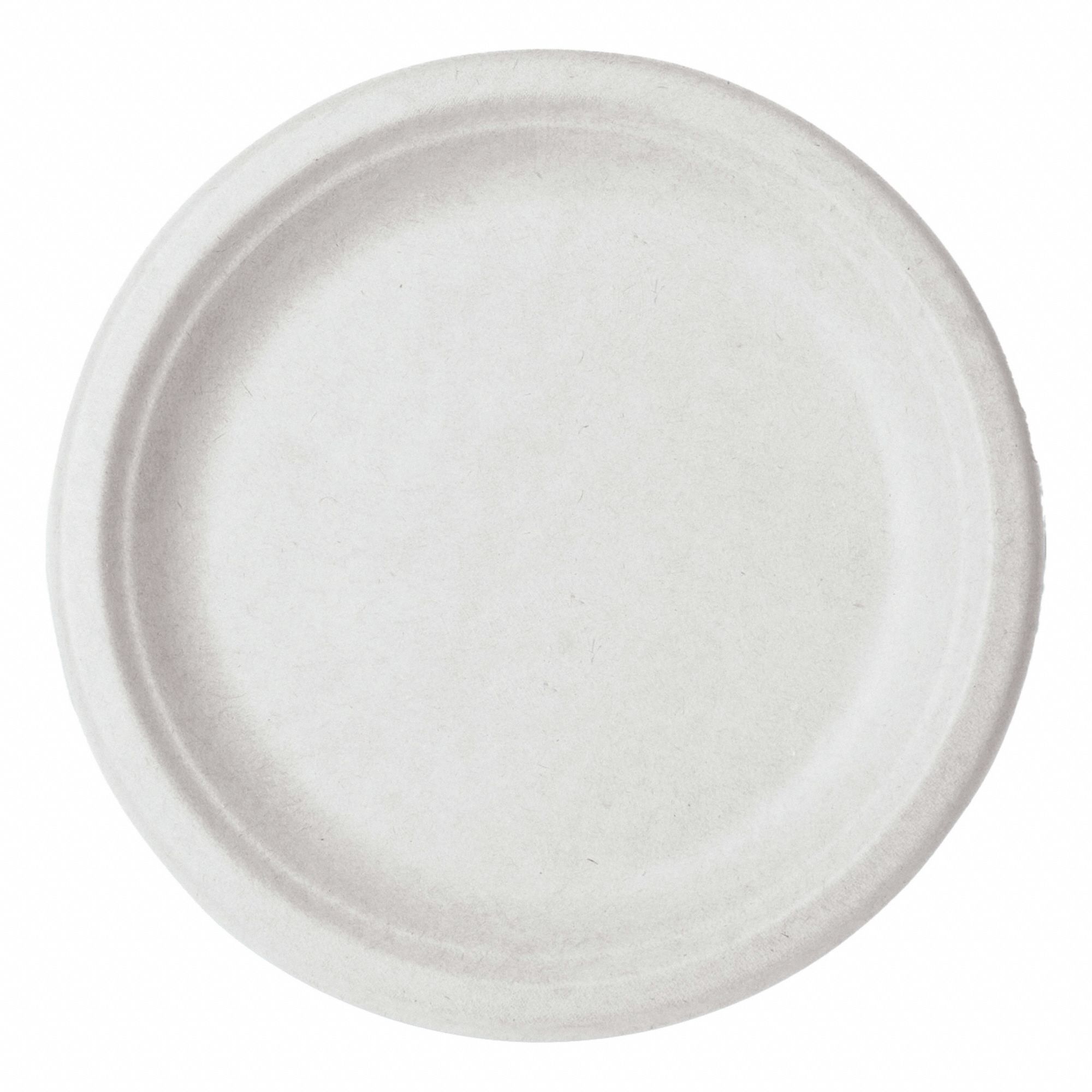 Plates: Natural Oatmeal, 9 in Disposable Plate Size, 1 Compartments, 500 PK