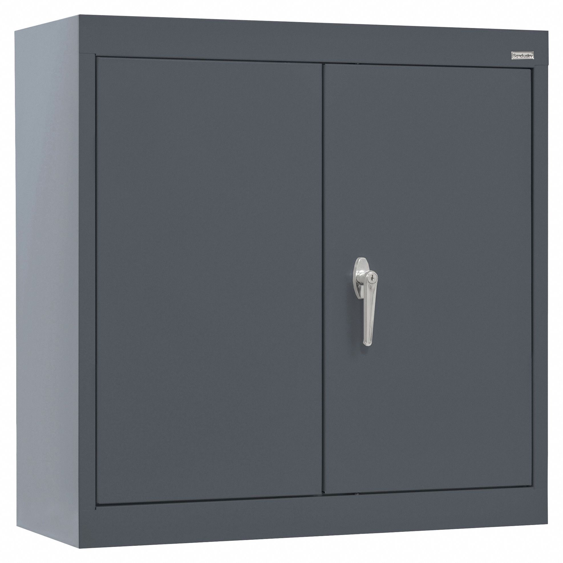 Wall Cabinet: 30 in x 12 in x 26 in, Solid, 2 Adj Shelves, Swing Handle & Keyed, Charcoal