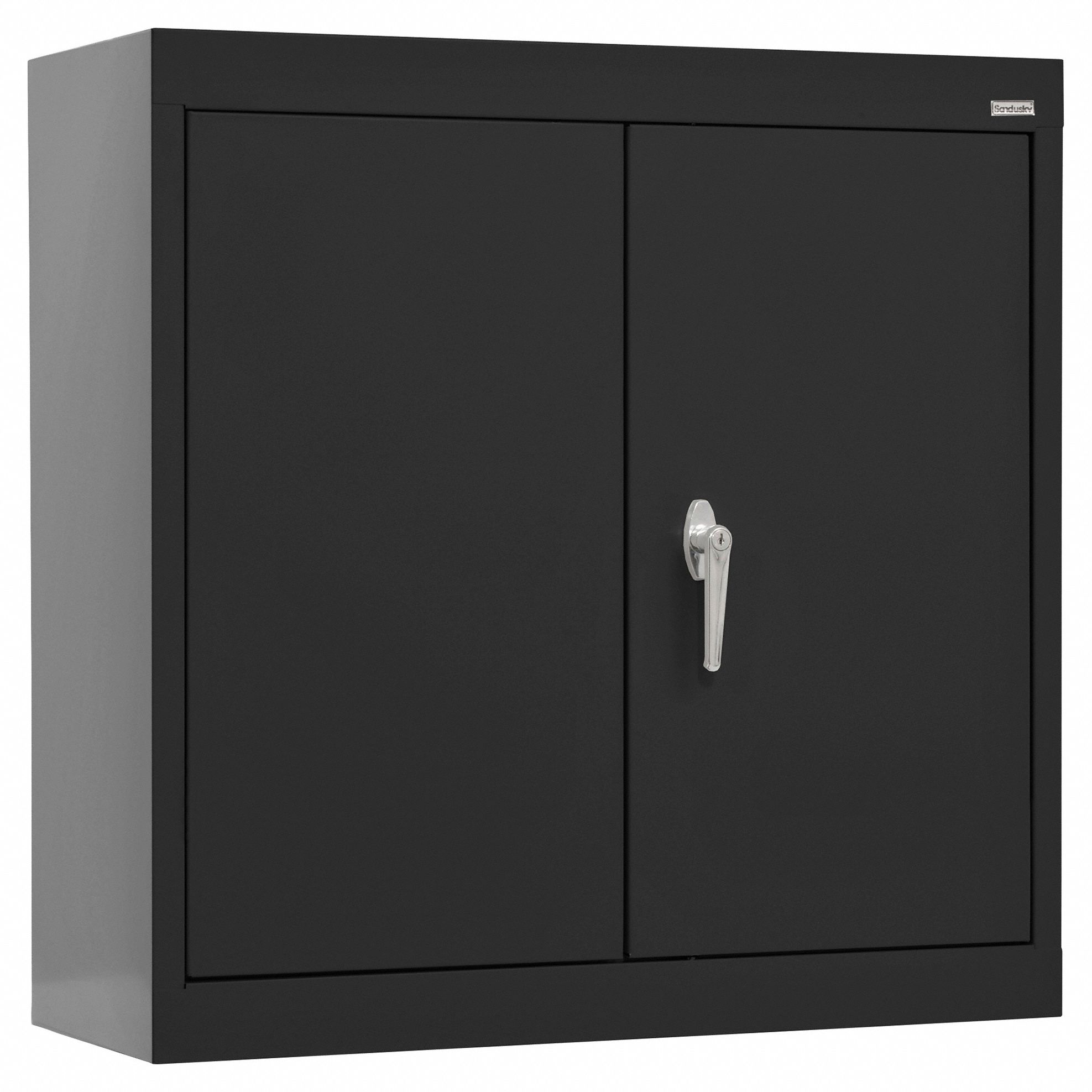 Wall Cabinet: 30 in x 12 in x 26 in, Solid, 2 Adj Shelves, Swing Handle & Keyed, Black