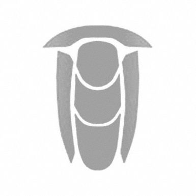 Hard Hat Label: 7 5/16 in Ht, High Intensity Prismatic Retroreflective, Hi-Vis, Vinyl, Silver