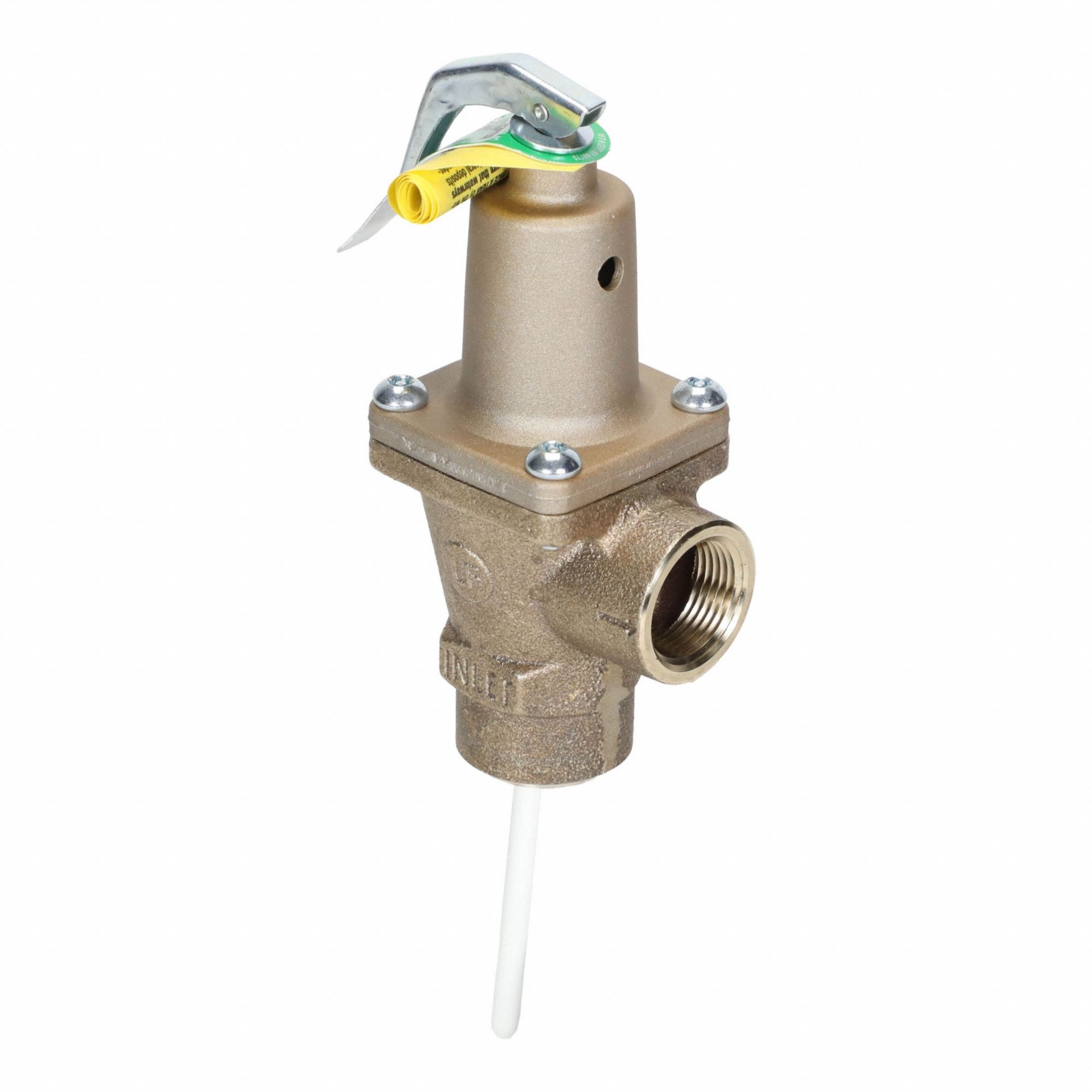 Temperature and Pressure Relief Valve