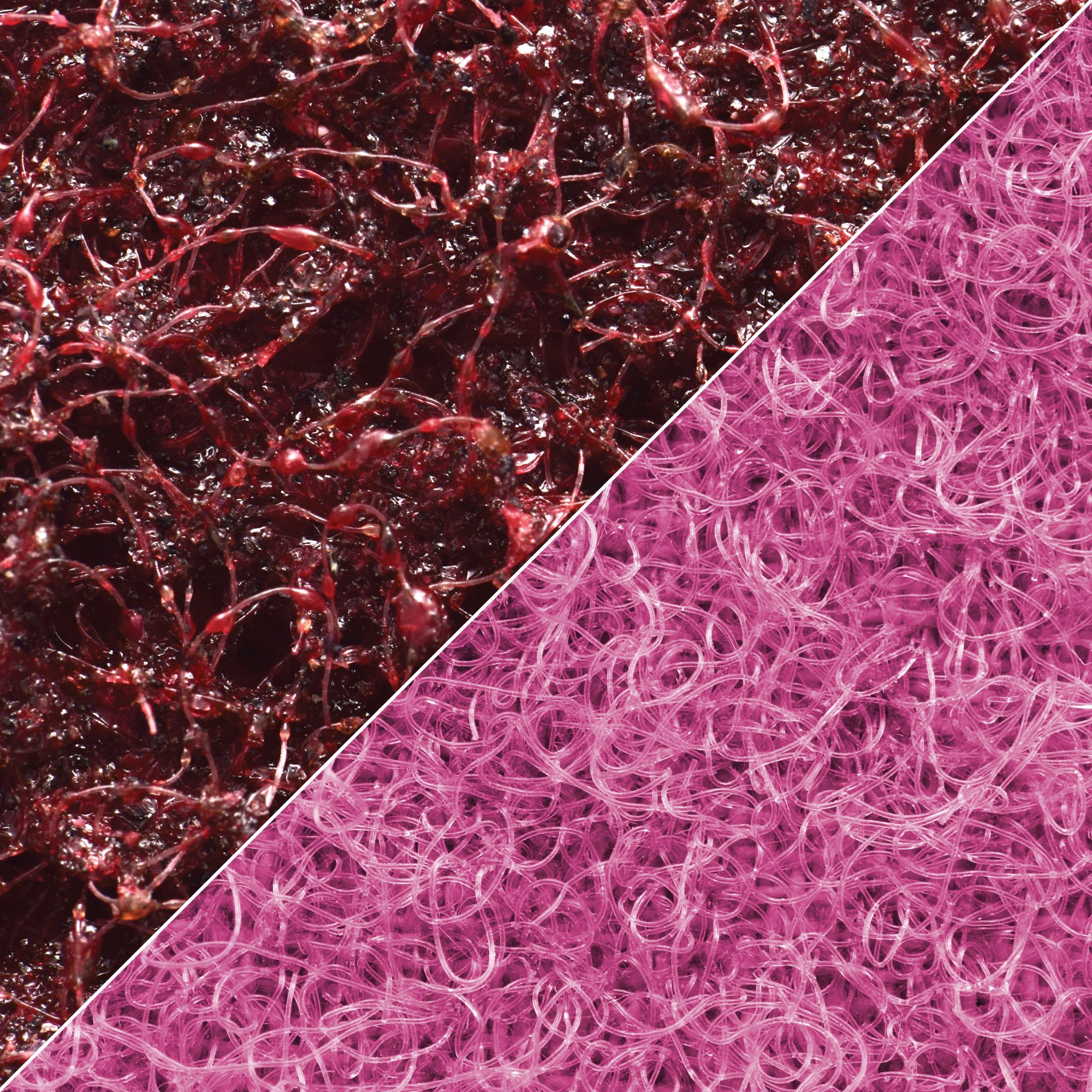 Z-WEB BELT LS 6 X 108 MED