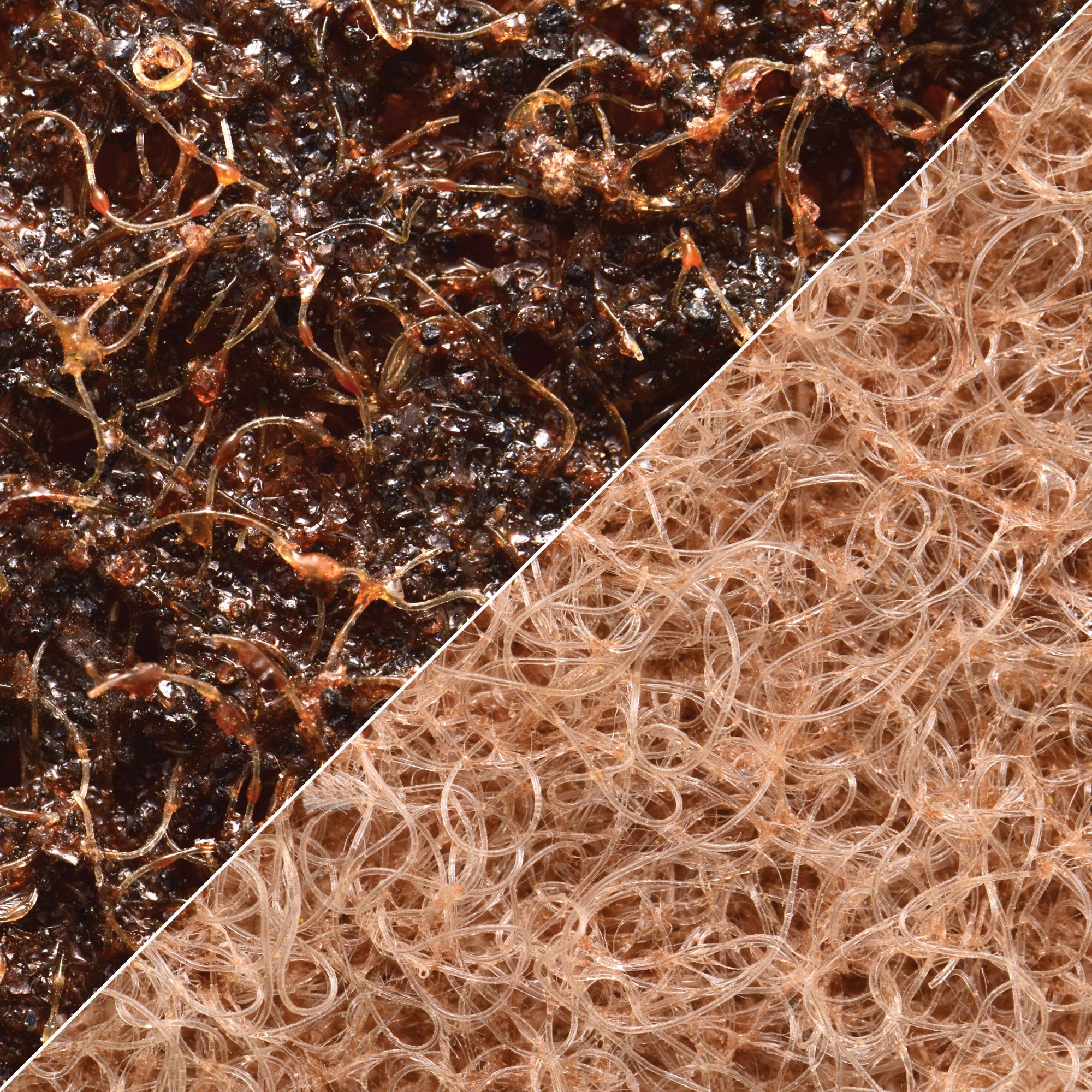 Z-WEB BELT 1 X 132 A CRS