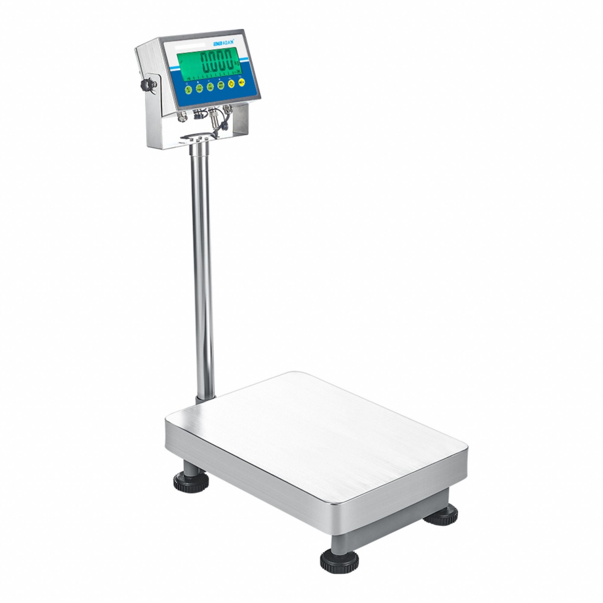 Industrial Bench Scales - CLONE 1 - Benc