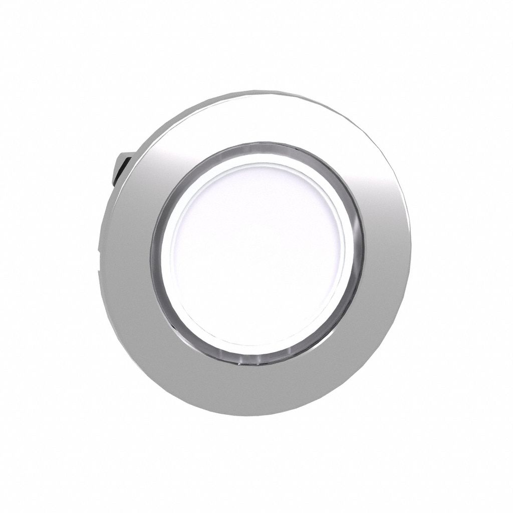 Flush Push Button: White, 30 mm Mounting Size, Metallic, Momentary