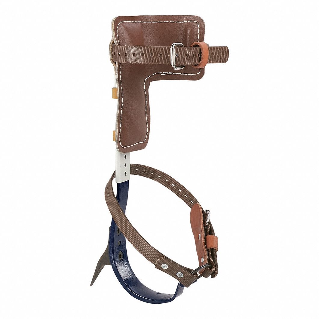 Tree Climbers,  2-3/4" Gaffs 15"-19"