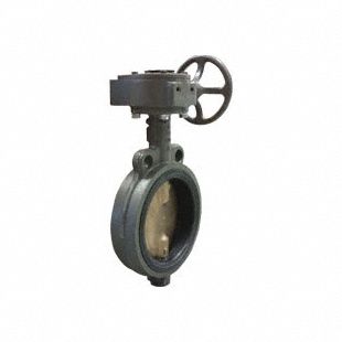Butterfly Valve: 6 in Pipe Size, Concentric, 200 psi Max. Pressure (CWP), Wafer, ABS