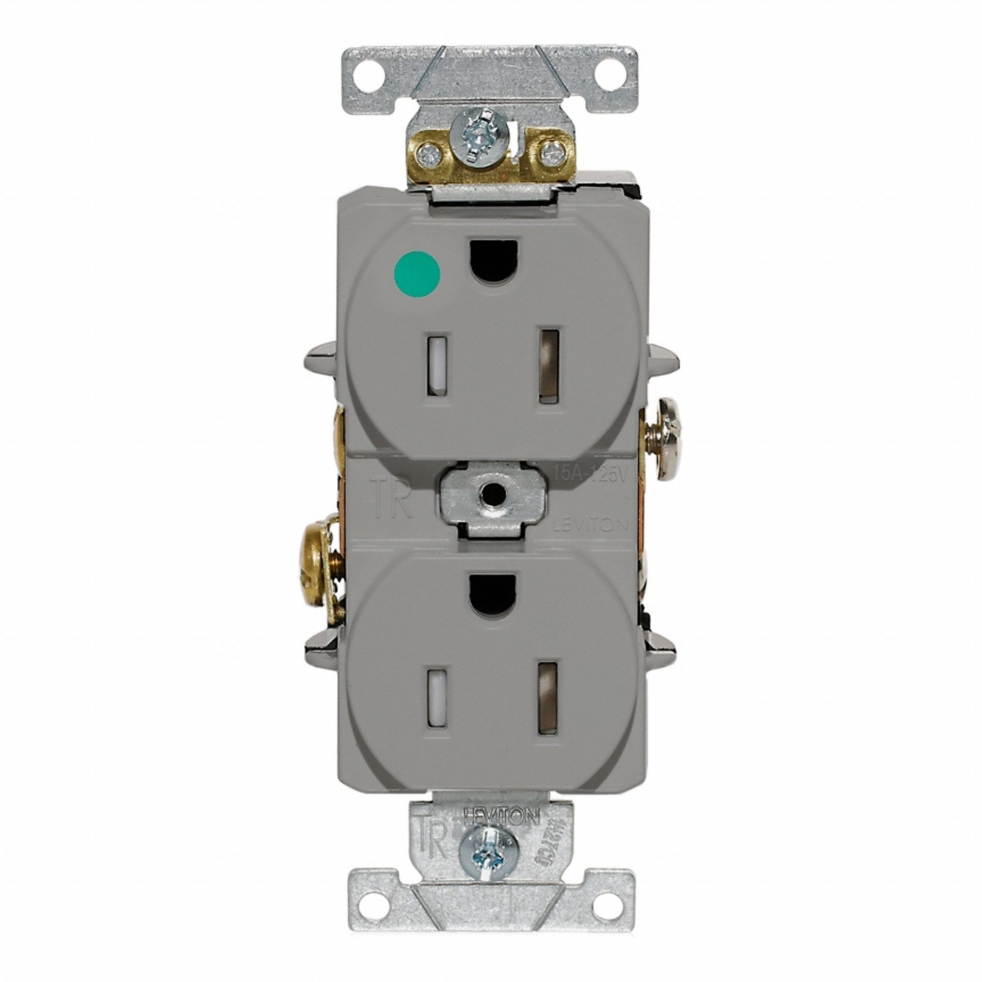 Dup Rec 15A 125V TR/HG Gry