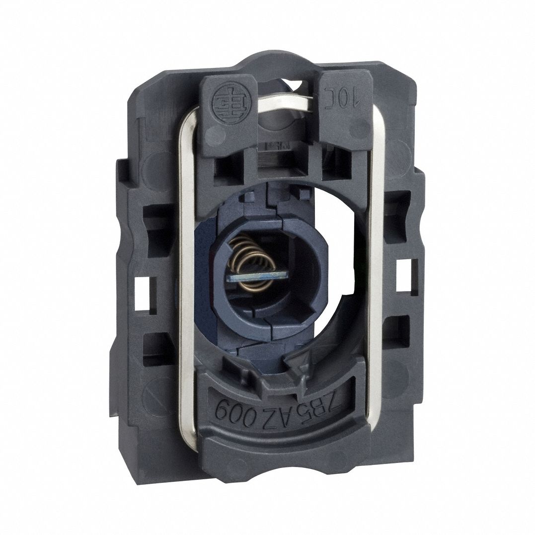 Lamp Module: 22 mm Size, Incandescent, 250 V AC Rating, No Transformer