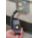 Product Image #4