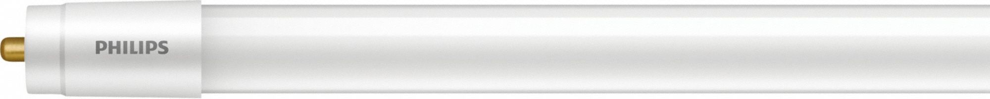 Linear LED Bulb: Type A, 8 ft Nominal Lg, T8, 28 W Watt, 60 W Watt Equivalency, 5000K, Glass