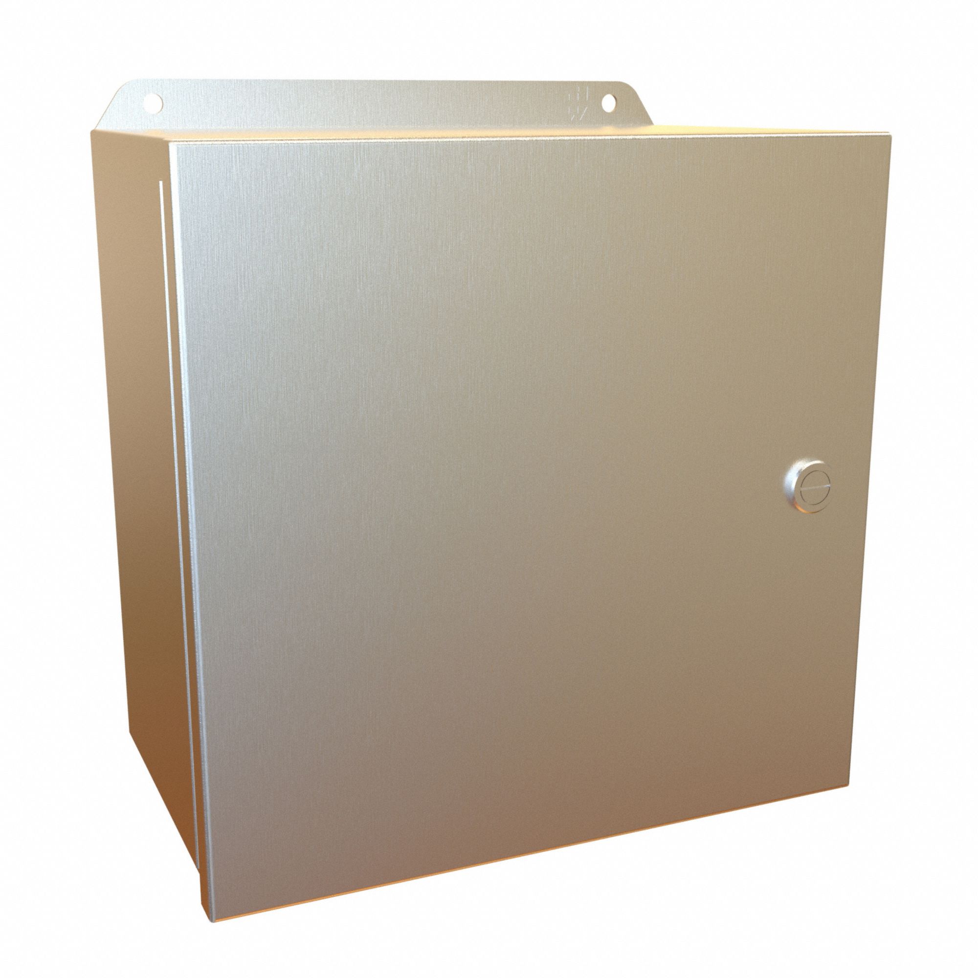 Electrical Enclosure: Stainless Steel, 10 in x 10 in x 6 in, NEMA 12/13/3R/4/4X, w/Panel