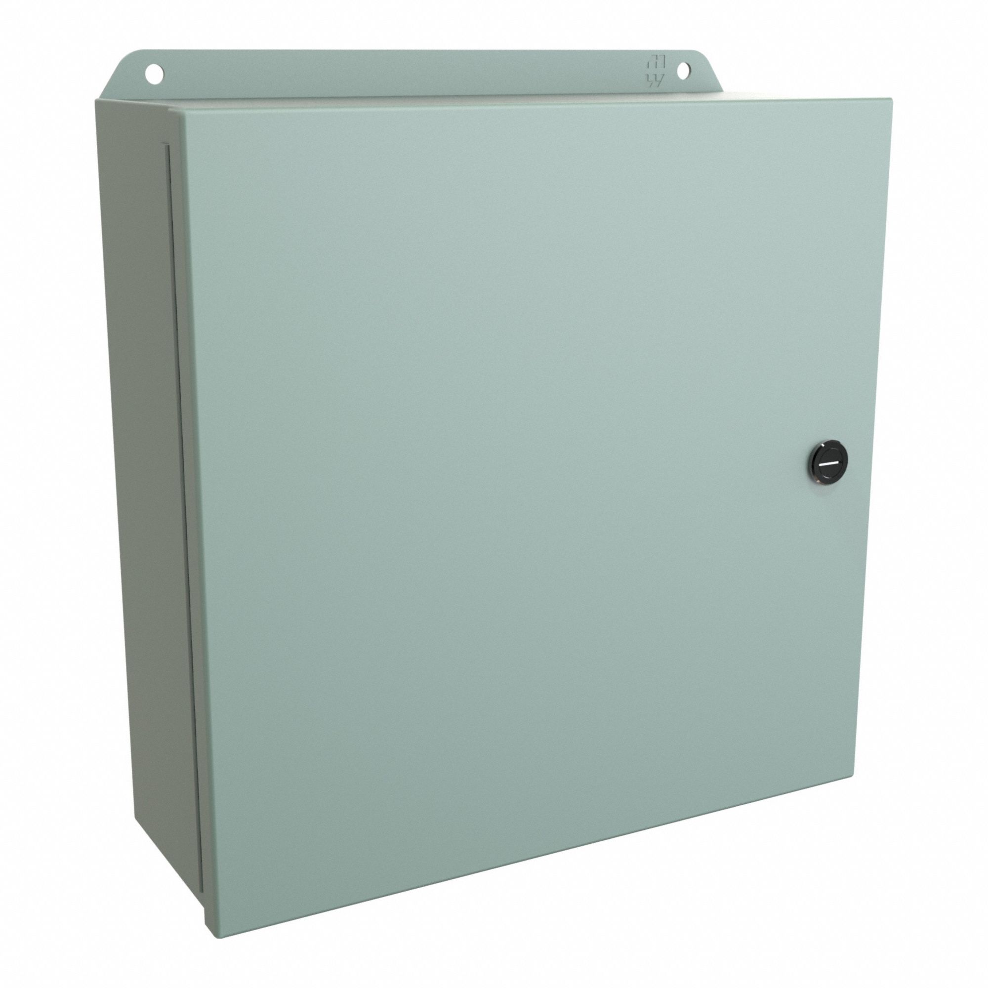 Electrical Enclosure: Steel, 12 in x 12 in x 4 in, NEMA 12/13/3R/4, w/Panel, Solid Cover