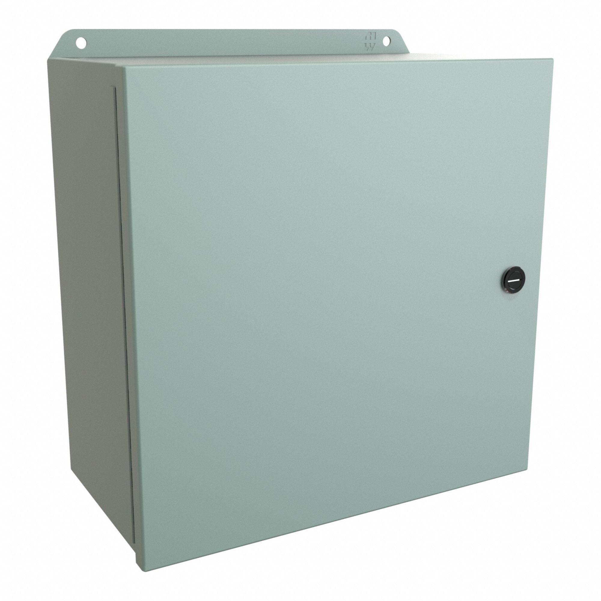 Electrical Enclosure: Steel, 12 in x 12 in x 6 in, NEMA 12/13/3R/4, w/Panel, Solid Cover