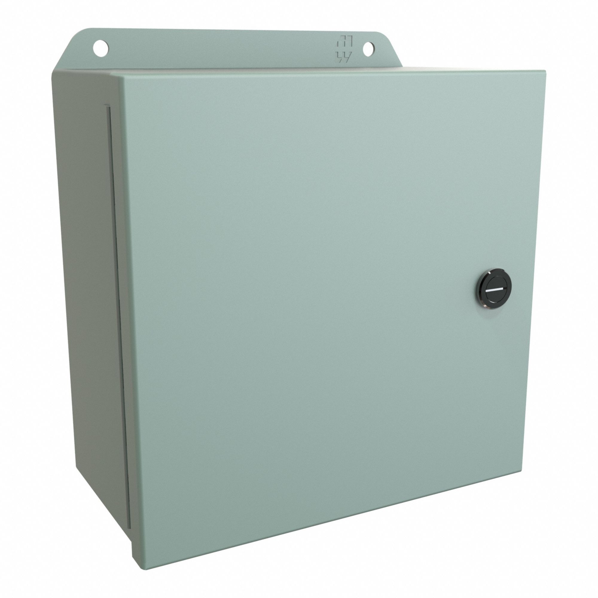 Electrical Enclosure: Steel, 8 in x 8 in x 4 in, NEMA 12/13/3R/4, w/Panel, Solid Cover