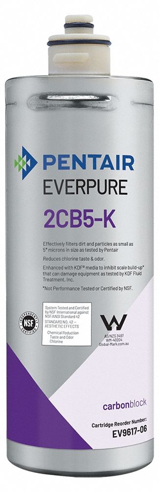 EVERPURE Water Filter Cartridge: 5 micron, 1 gpm, 3,000 gal, 10 1/4 in Overall Ht (MPN EV961706). Key specifications — Filter Media: Carbon Block; Brand: EVERPURE.
