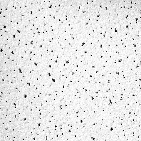 Ceiling Tile 48 in L 24 in W PK8