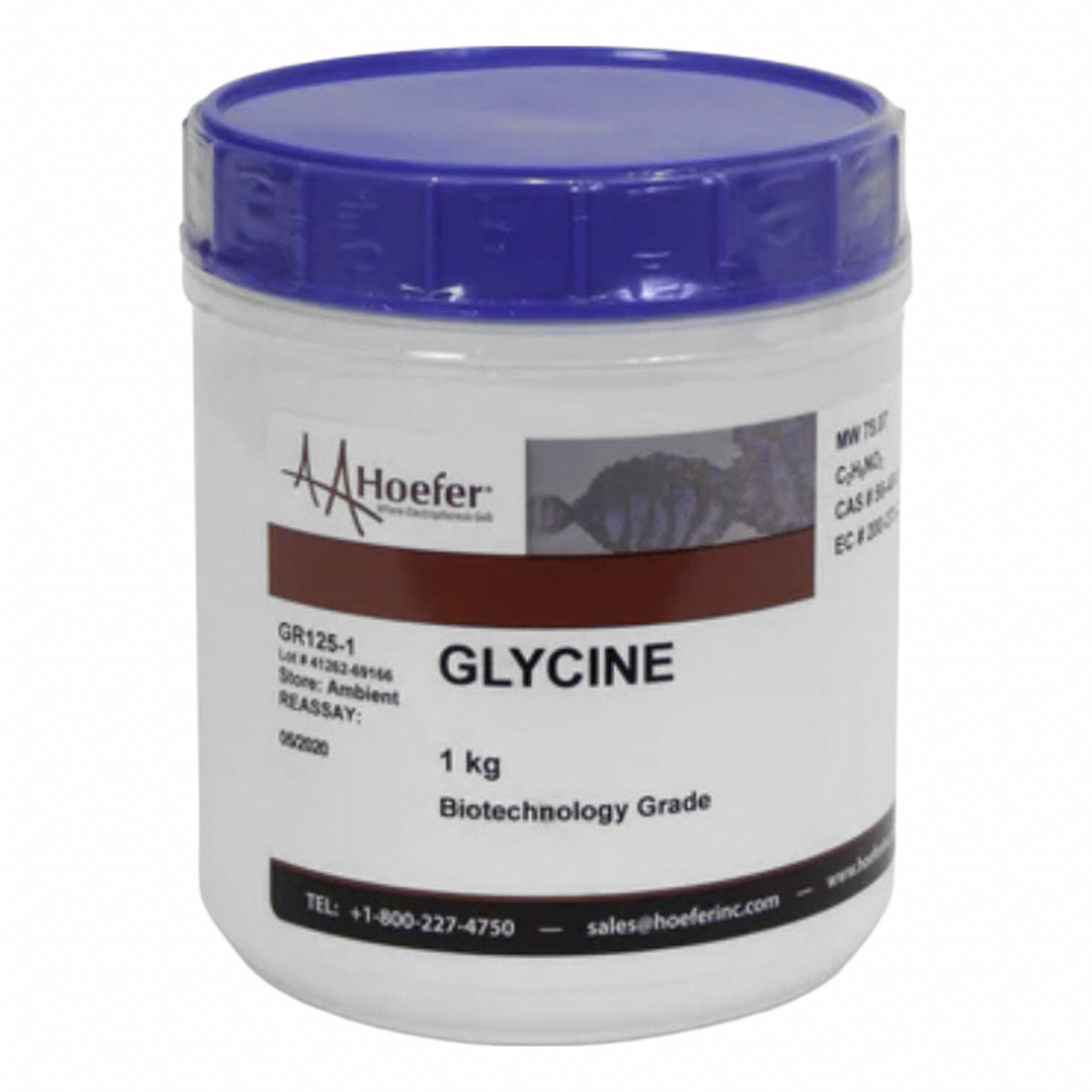 Glycine Protein Electrophoresis