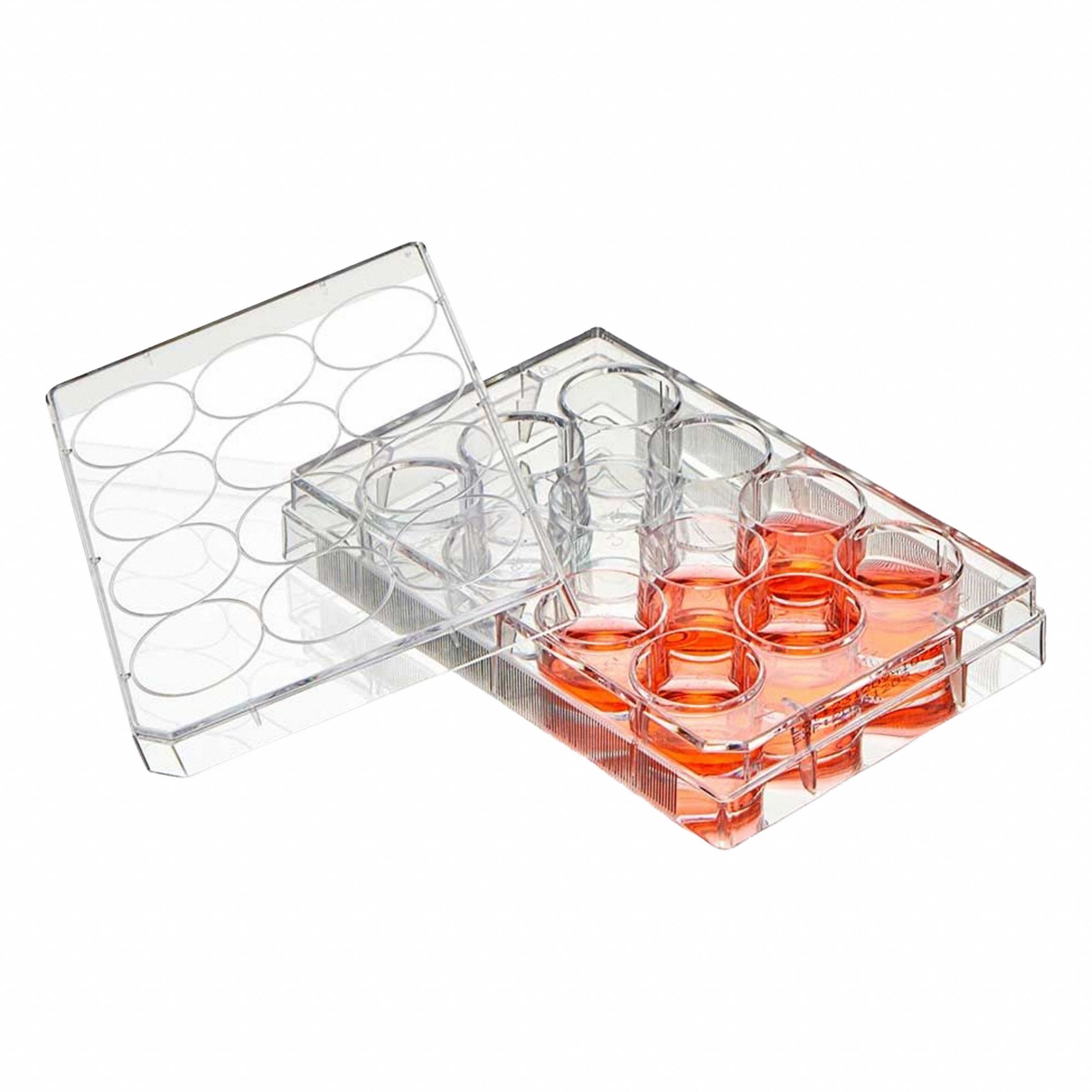GLOBE SCIENTIFIC Well Plate: Sterile, 12 Wells, 1.14 mL, RNase/DNase Free, Tissue Culture Treated (MPN TC-PLT-12-NT). Key specifications — Brand: GLOBE SCIENTIFIC; Body Color: Colorless; RNase/DNase Free: Yes; Well Shape: Square; Material: Polystyrene.