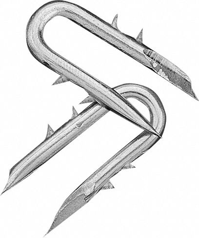1 Galvanized Barbed Staples 1#