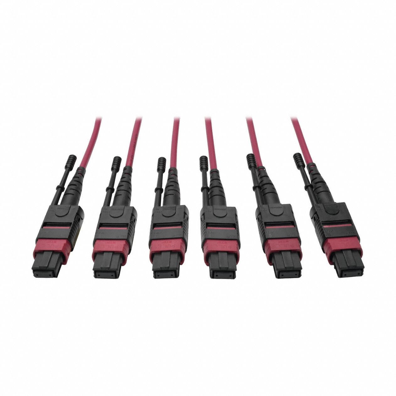 Fiber Cable: (3) 8F MPO/PC Female (Magenta) x (3) 8F MPO/PC Female (Magenta), PVC