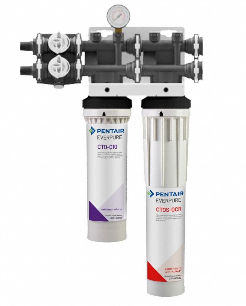 EVERPURE Water Filtration System: 0.5 micron, 2.5 gpm, MNPT, 23 1/4 in Overall Ht, 20,000 gal (MPN 170-52080-75). Key specifications — Brand: EVERPURE; Reduces: Objectionable Odors; Filter Media: Catalytic Carbon.