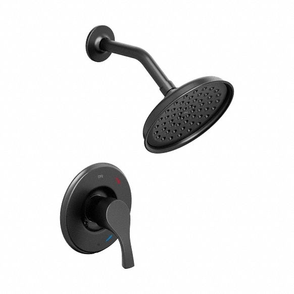 Shower Faucet: T58912, 1.75 gpm Fixed Showerhead Flow Rate, Metal, Matte Finish, Single Function