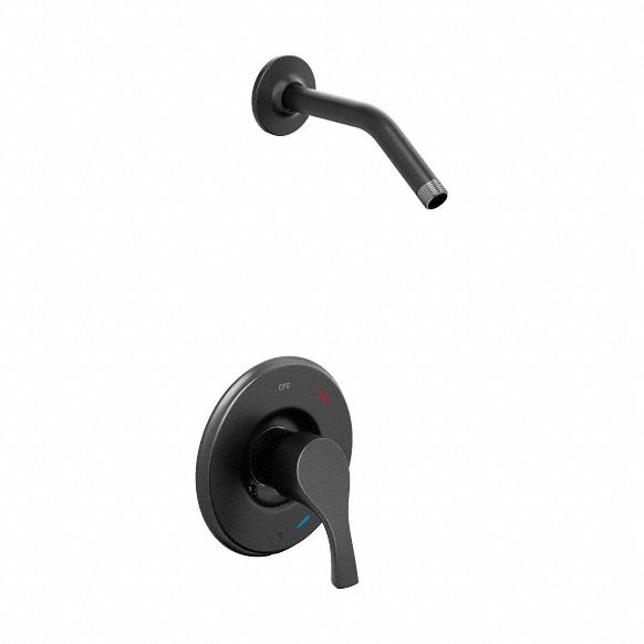 Shower Faucet: T58912, 1.75 gpm Fixed Showerhead Flow Rate, Metal, Matte Finish, Single Function