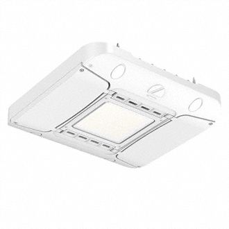 Canopy Light: LED,